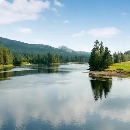 Pet Friendly In With Sauna Ferienhaus *