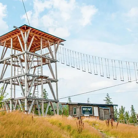 Pet Friendly In With Sauna Trysil